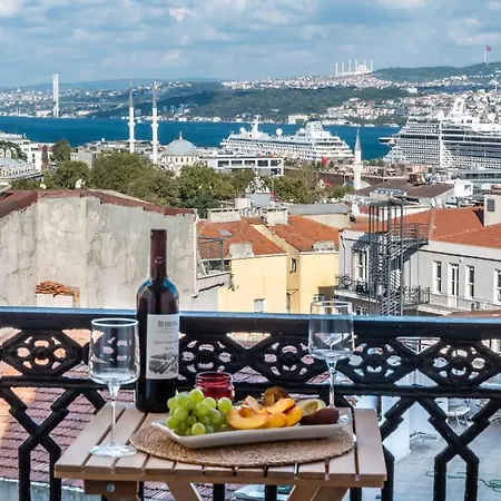Historical Apt. With Galata Sea View/turkish Hamam Διαμέρισμα