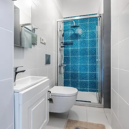 Historical Apt. With Galata Sea View/turkish Hamam Appartement *