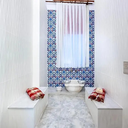 Historical Apt. With Galata Sea View/turkish Hamam 公寓 伊斯坦布尔