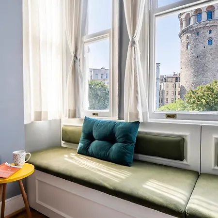 Historical Apt. With Galata Sea View/turkish Hamam 伊斯坦布尔