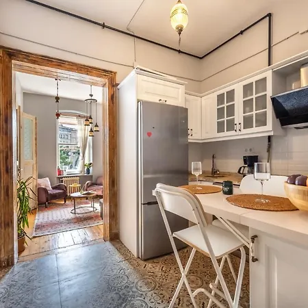 Historical Apt. With Galata Sea View/turkish Hamam Apartamento Estambul
